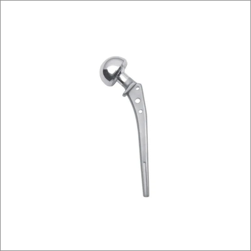 Exporter of Hip Prosthesis from India