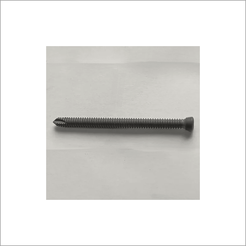 Exporter of Locking Screw from India