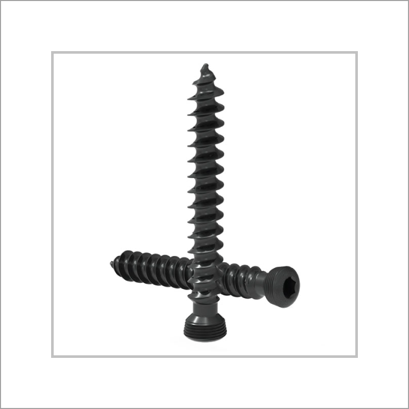 Exporter of Trauma | Locking Screw from India