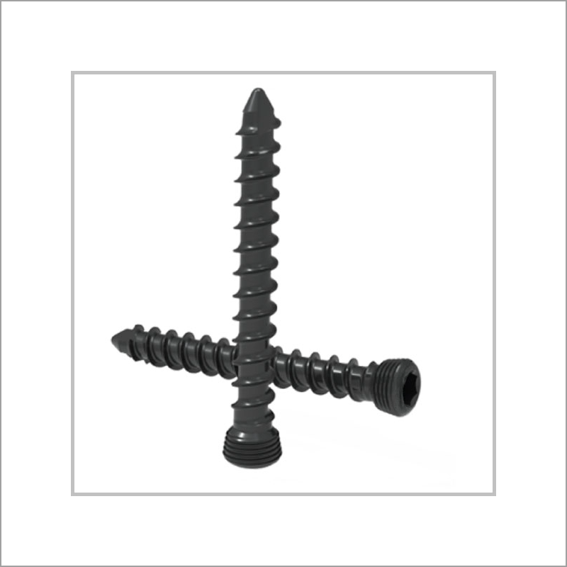 Exporter of Trauma | Locking Screw from India