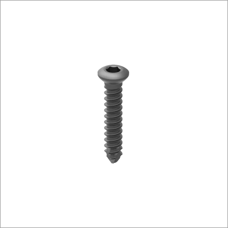 Exporter of Non Locking Screw from India