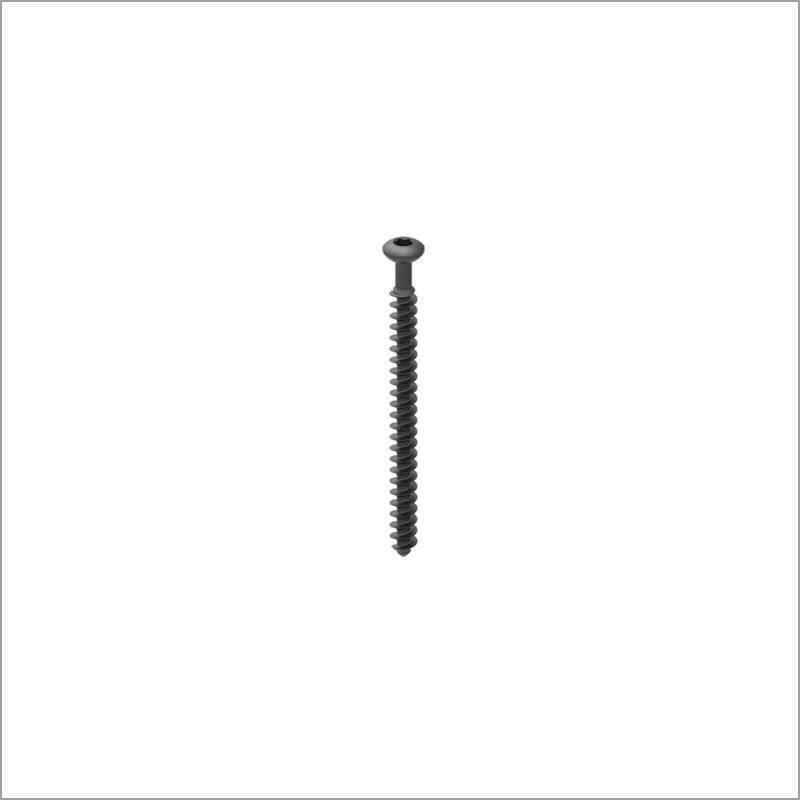 Exporter of Trauma | Non Locking Screw from India