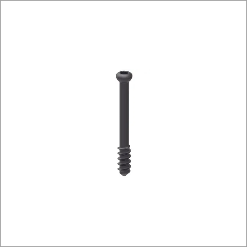 Exporter of Trauma | Non Locking Screw from India