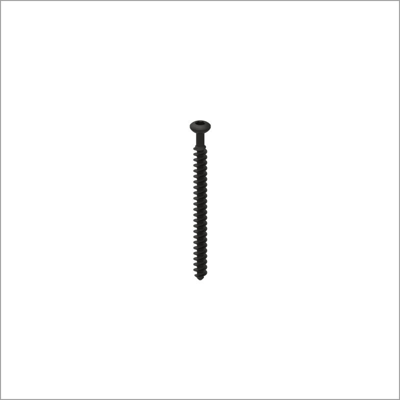 Exporter of Trauma | Non Locking Screw from India