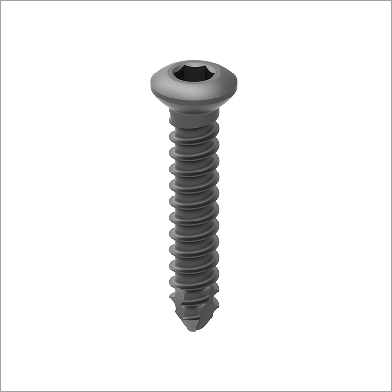 Exporter of Trauma | Non Locking Screw from India