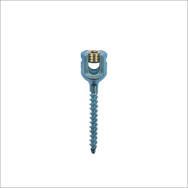 Exporter of Spine | Spinal Fixtation System Implant from India